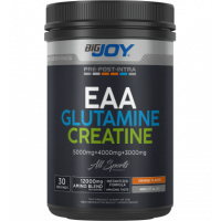 Bigjoy Sports EAA Glutamine Creatine 495 Gr