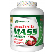 Powertech Mass Tech Mass Gainer 3600gr