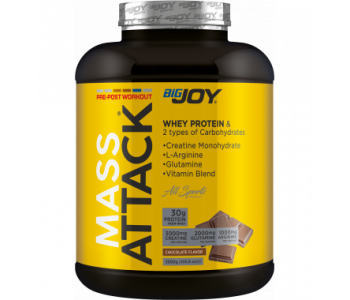 Bigjoy Sports Mass Attack 3000 Gr