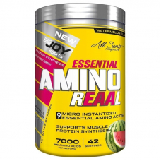 BigJoy Sports Amino Reaal 420 Gr