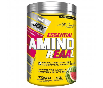 BigJoy Sports Amino Reaal 420 Gr