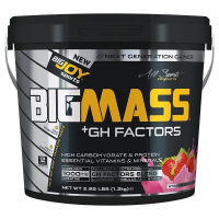 BigJoy Sports BigMass GH Factors 1200 Gr