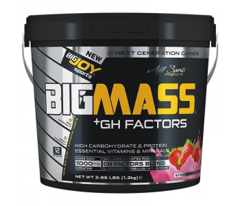 BigJoy Sports BigMass GH Factors 1200 Gr