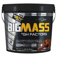 BigJoy Sports BigMass GH Factors 5000 Gr