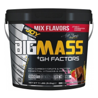 BigJoy Sports BigMass GH Factors 5000 Gr