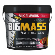 BigJoy Sports BigMass GH Factors 5000 Gr