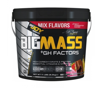 BigJoy Sports BigMass GH Factors 5000 Gr