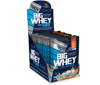 BigJoy Sports BigWhey GO Protein 495 Gr 15 Paket