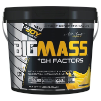 BigJoy Sports BigMass GH Factors 5000 Gr