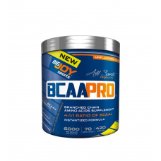 BigJoy Sports BCAA Pro 4:1:1 420 Gr