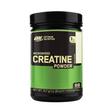 Optimum Nutrition Micronized Creatine Powder 317 Gr