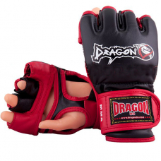 Dragon Champion MMA Eldiveni